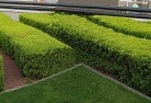 North Adelaidecommercial-landscaping-1.jpg; ?>